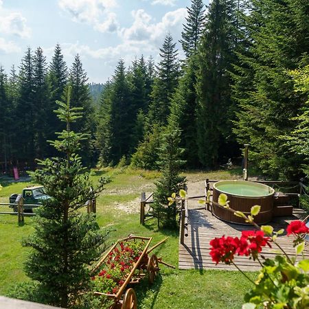 Leśna Bacówka Vila Nowy Targ Exterior foto