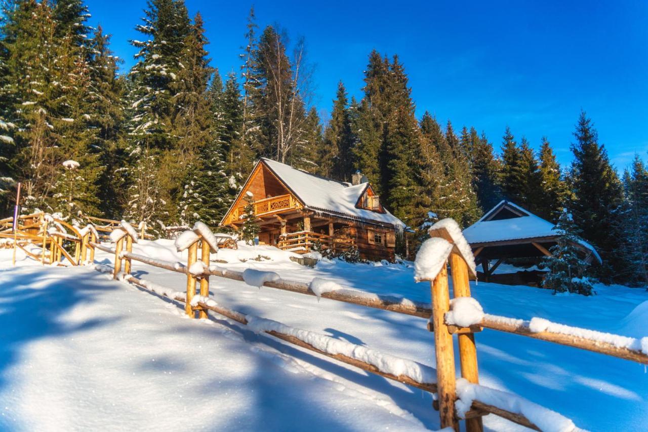 Leśna Bacówka Vila Nowy Targ Exterior foto