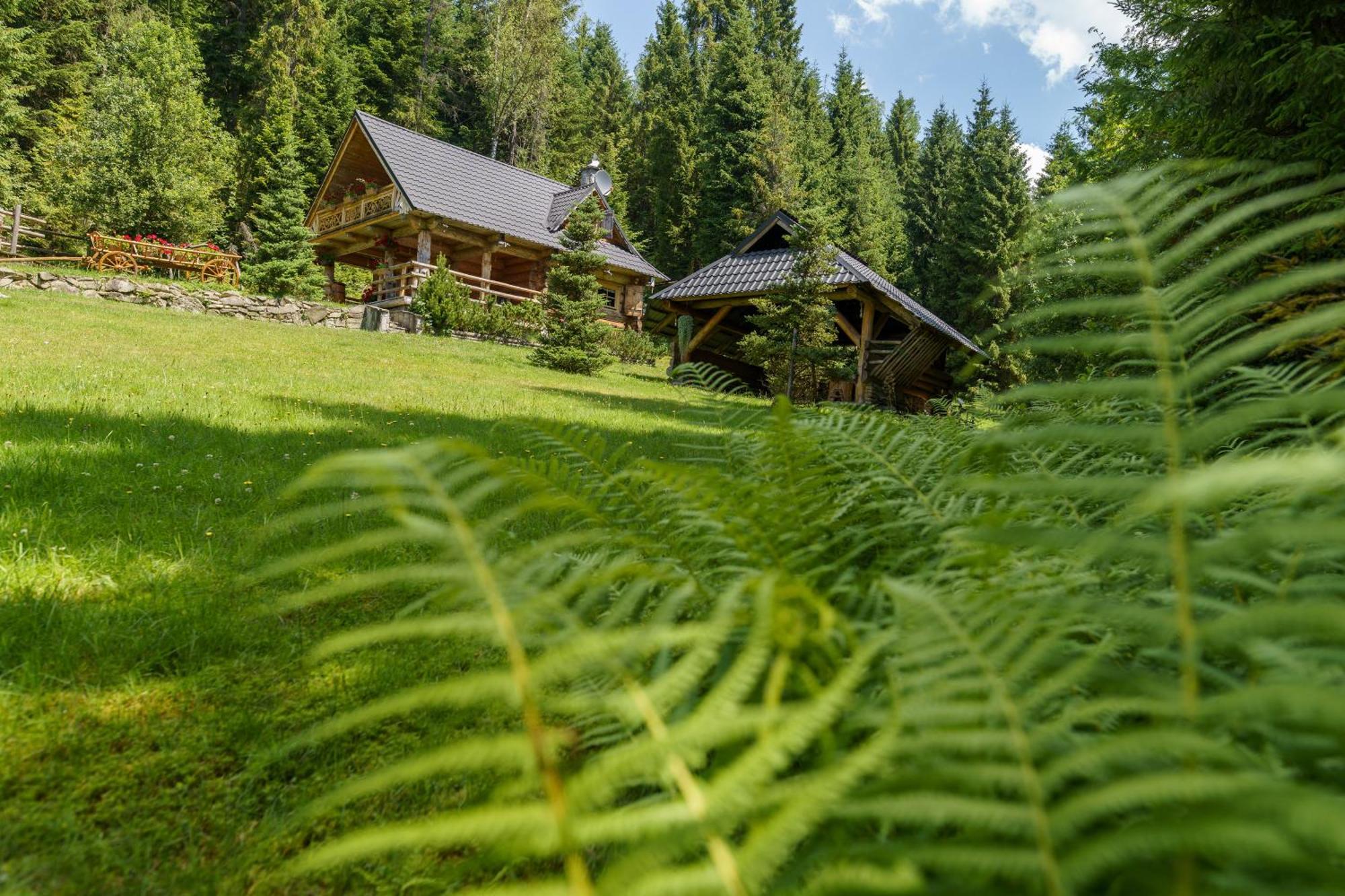 Leśna Bacówka Vila Nowy Targ Exterior foto