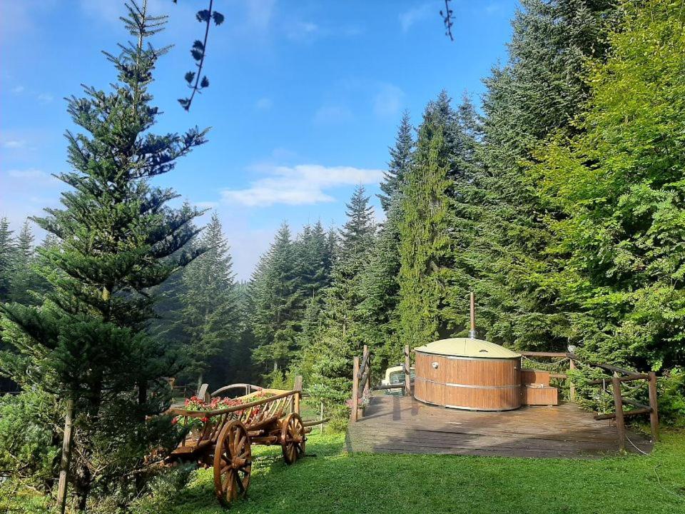 Leśna Bacówka Vila Nowy Targ Exterior foto