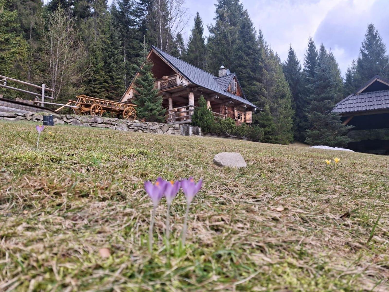 Leśna Bacówka Vila Nowy Targ Exterior foto